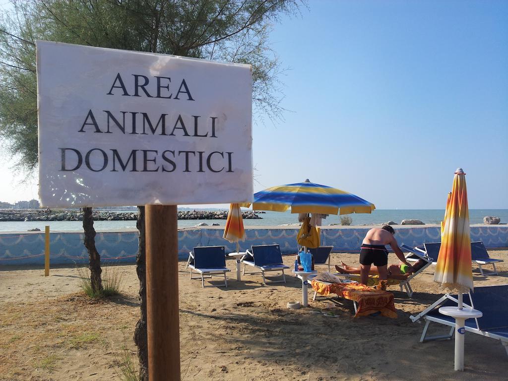 Hotel Paloma Beach Front Chiringuitos Time Rimini Exterior photo